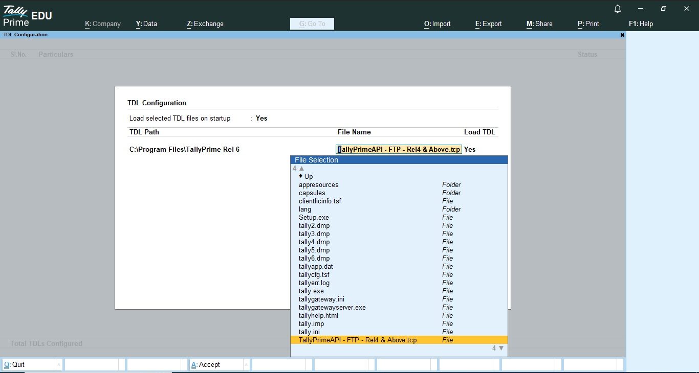 Load TallyPrime API TCP File